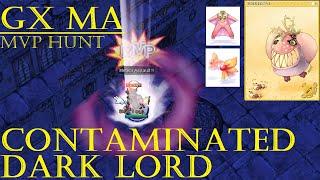iRO Chaos: GX MA Perfect Hit gearset vs Contaminated Dark Lord MVP