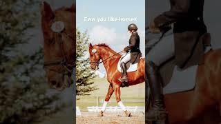 Can we get to 780subs? #equestrian #horses #horsechannel