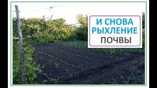 После дождя ОПЯТЬ ПРОПОЛКА и Рыхление почвы