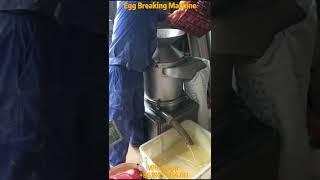 Kitchen Magic: Egg Breaking Machine Quickly Separates Eggs from Shells Saving Labor and Time