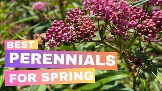 Best Perennials to Plant in Spring