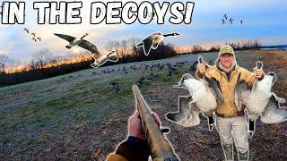 GOOSE HUNTING With Birds FEET DOWN! (LIMITED OUT!) | Maryland Goose Hunting!