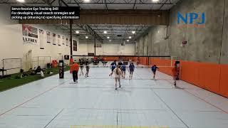 Volleyball Eye Tracking for Serve Receive Perception-Action Coupling | Picking up Specifying Info