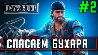 Прохождение Days Gone (Жизнь после) #2 Спасаем Бухаря