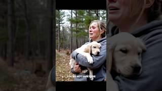 Alone in the American Woods… Until a Stranger Stepped In  #dogrescue #goldenretriever