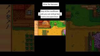 Time to harvest turnips! #stardew #stardewvalleyupdate #stardewvalley