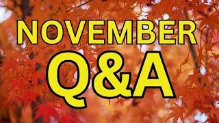 November 2024 Bible Q&A