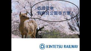 玩奈良公園　近鐵電車最方便！