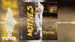 Terror - Motives