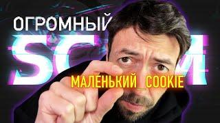 Cookie-трюк: как программисты создали крупнейший СКАМ десятилетия