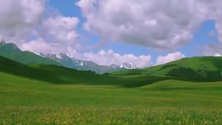 Футаж природа Казахстан \ Footage nature of Kazakhstan