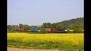 Beacon/SBB Cargo Siemens 189 995 mit KLV Zug bei Nidderau