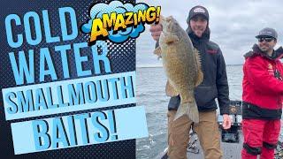 Cold Water Smallmouth Bass Baits that Catch BIG Fish!