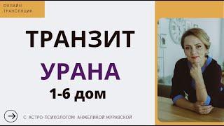 ТРАНЗИТ УРАНА С 1 ПО 6 ДОМ. Стрим, общение со зриетлями.