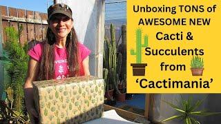 Unboxing TONS of AWESOME NEW Cacti & Succulents from @Cactimania #cactus #cacti #succulents