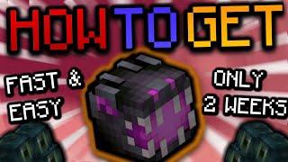 The EASIEST WAY to get the ENDER DRAGON PET- (Hypixel Skyblock)