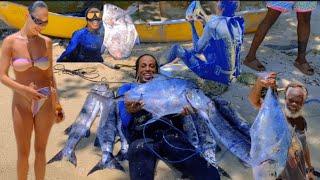 My Biggest Catch Since 2024 seven barracuda & African Pompano Catch & Cook