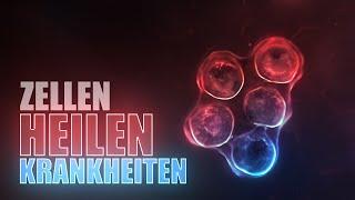 Wie Zellen Krankheiten heilen! (Animation)