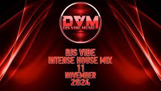 Djs Vibe - Intense House Mix 11 (November 2024)