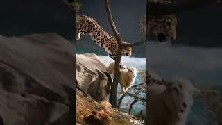 B #Mysterious Nature #Wild Nature #Wonderful Animal World #Animal Vision
