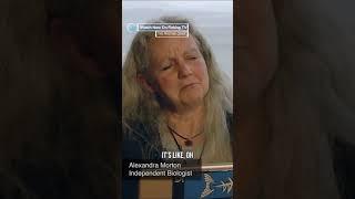 The problem with Salmon Farming - Who knows what went wrong?  - ‘The Pristine Coast’ on Fishing TV