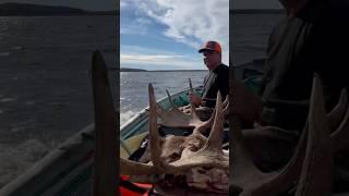 Free Boat Rides For #moose #boating #hunting #sunrise #ontario #canada #outdoorlife #fishing #guide