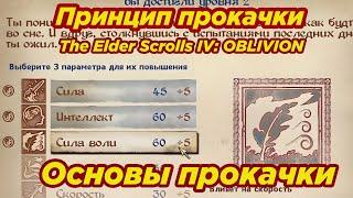 The Elder Scrolls IV: Oblivion ► Основы прокачки ► Суть прокачки ► Принципы