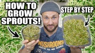 How To Grow Sprouts & Why They Are AMAZING! 