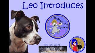 Leo Introduces: