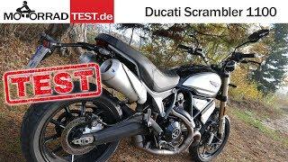 Ducati Scrambler 1100 | TEST (deutsch)