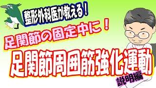 【整形外科医が教える！】足関節固定中におすすめ　足関節周囲筋強化運動