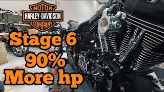 HARLEY DAVIDSON STAGE 6-The Black Beast