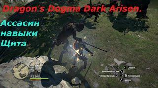 Dragon's Dogma Dark Arisen.Ассасин. Навыки щита.