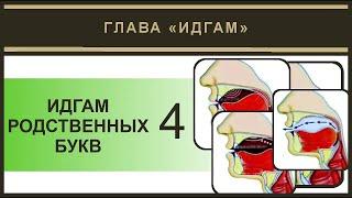 Айман Сувейд. 8. Идгам родственных 4 (русские субтитры)