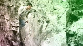 Uzbek kino