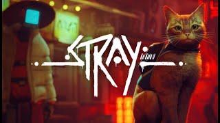 КАК ВЫПОЛНИТЬ ДОСТИЖЕНИЕ КОТ-ДАНК [BOOM CHAT KALAKA] В ИГРЕ STRAY