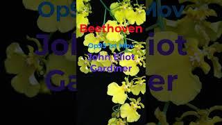 Beethoven Symphony No8 Op93 1st Mov Gardiner