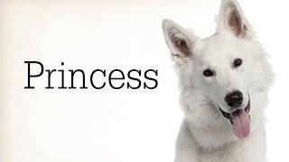 "Princess" Creepypasta