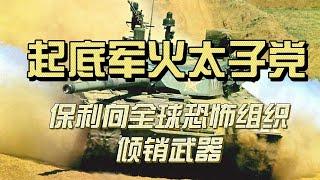 红色后代系列（9）起底军火太子党：全球倾销武器 恐怖组织都是客户|揭秘保利：朝鲜、恐怖组织、黑帮、俄罗斯背后的弹药库|王军|贺平|邓小平|王震|杨尚昆|李尚福|火箭军|军队贪腐