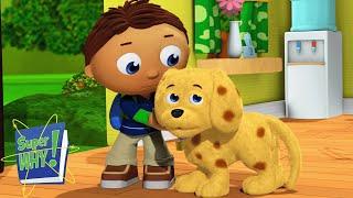 The Unhappy Puppy | Super Why - WildBrain | Movies for Kids