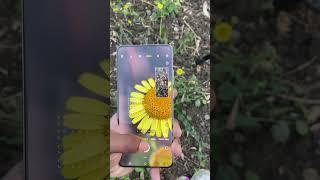 Vivo x200 pro micro camera test  #vivo #vivox200pro