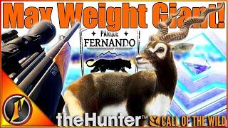 Max Weight GIANT Diamond Blackbuck on Parque Fernando! | Call of the Wild