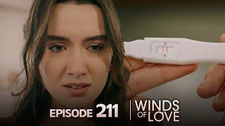 Rüzgarlı Tepe 211. Bölüm | Winds of Love Episode 211