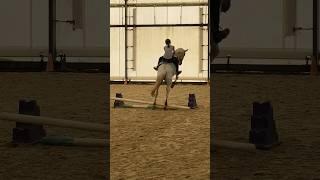 Raw of my fall @alenahorses  #horse #capcut #equestrian #equestrianlife #funnyhorse #jumpingfail