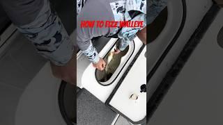 How to Fizz Walleye