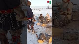 Рабочие будни у каждого свои.... #ямал #жизньнасевере @Shorts