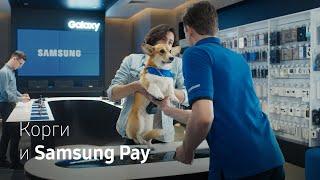 Корги и Samsung Pay