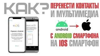 Как перенести контакты с Android смартфона на IOS смартфон