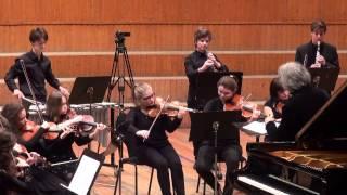 F. Schubert - F. Liszt. Serenade