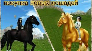 SSO/Star Stable/Покупка Спорт-Фриза и Магического Шайра